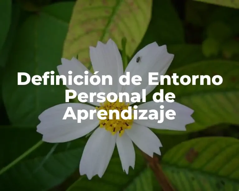Definición de Entorno Personal de Aprendizaje