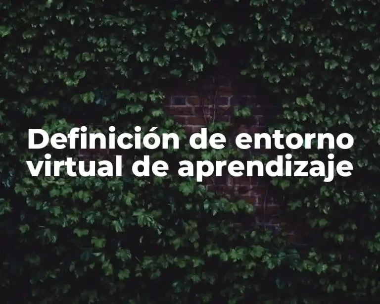 Definición de entorno virtual de aprendizaje