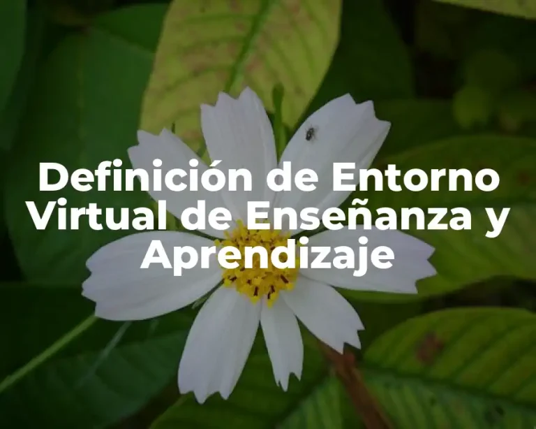 Definición de Entorno Virtual de Enseñanza y Aprendizaje