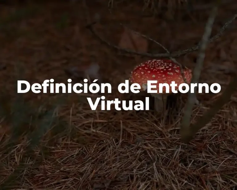 Definición de Entorno Virtual