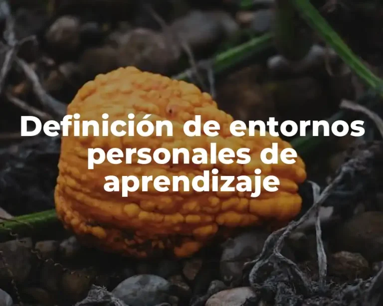 Definición de entornos personales de aprendizaje