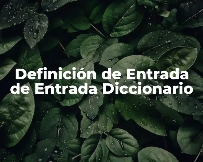 Definición de Entrada de Entrada Diccionario