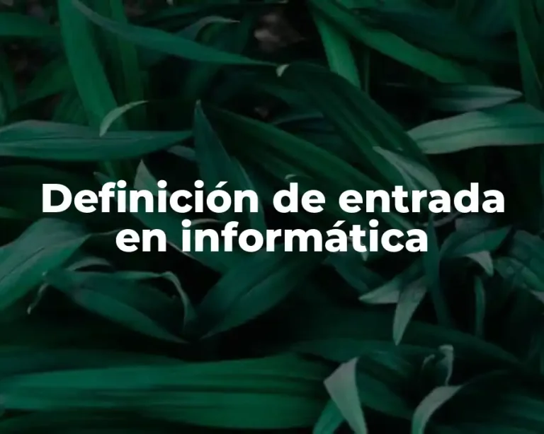 Definición de entrada en informática