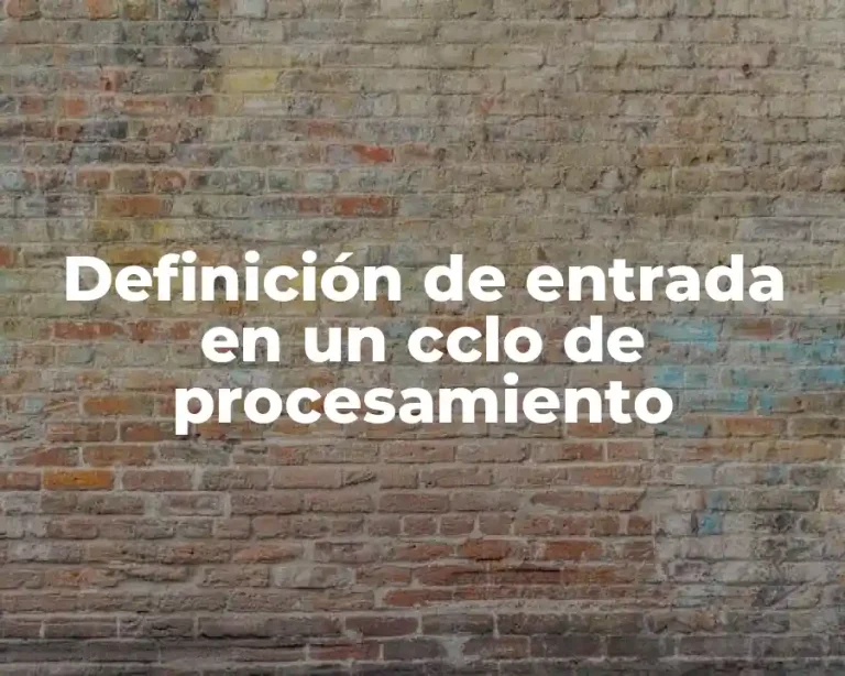 Definición de entrada en un cclo de procesamiento