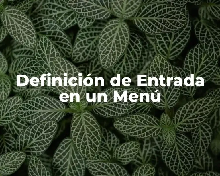 Definición de Entrada en un Menú