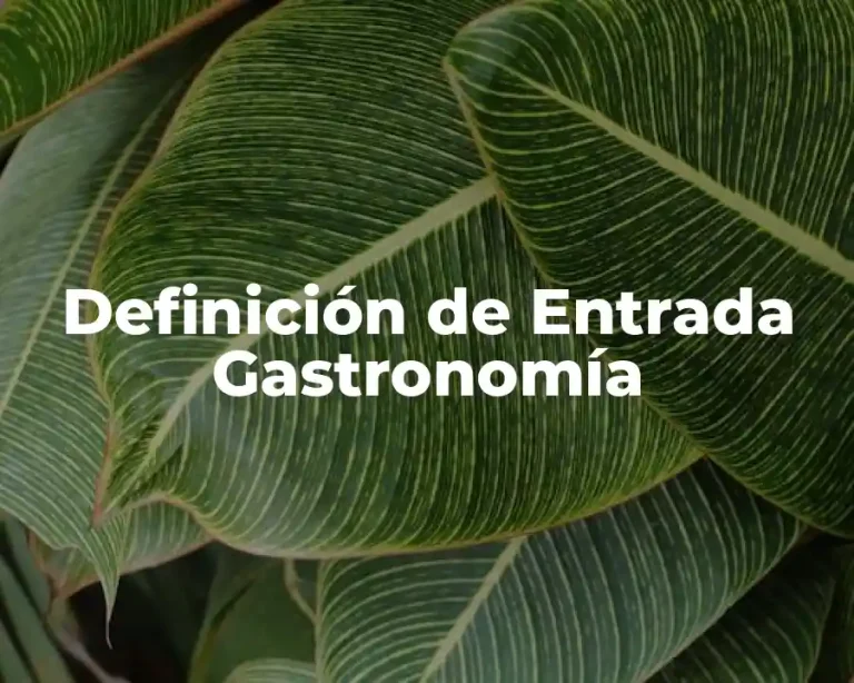 Definición de Entrada Gastronomía