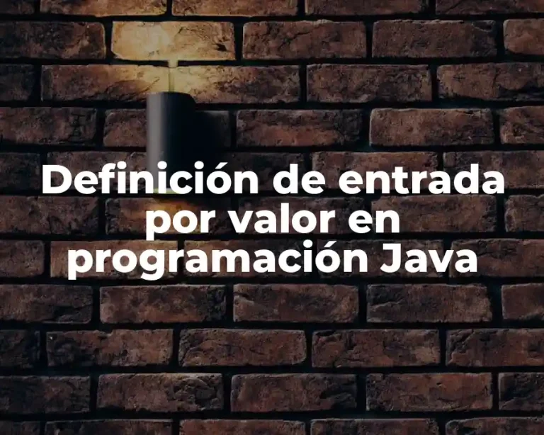 Definición de entrada por valor en programación Java