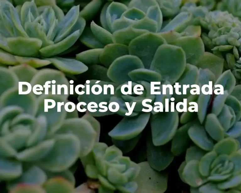 Definición de Entrada Proceso y Salida