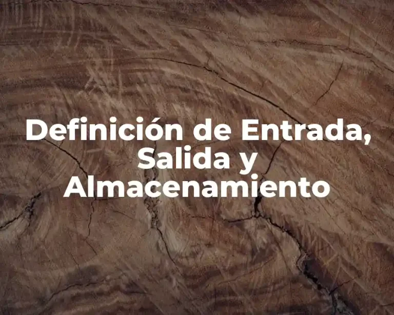 Definición de Entrada, Salida y Almacenamiento
