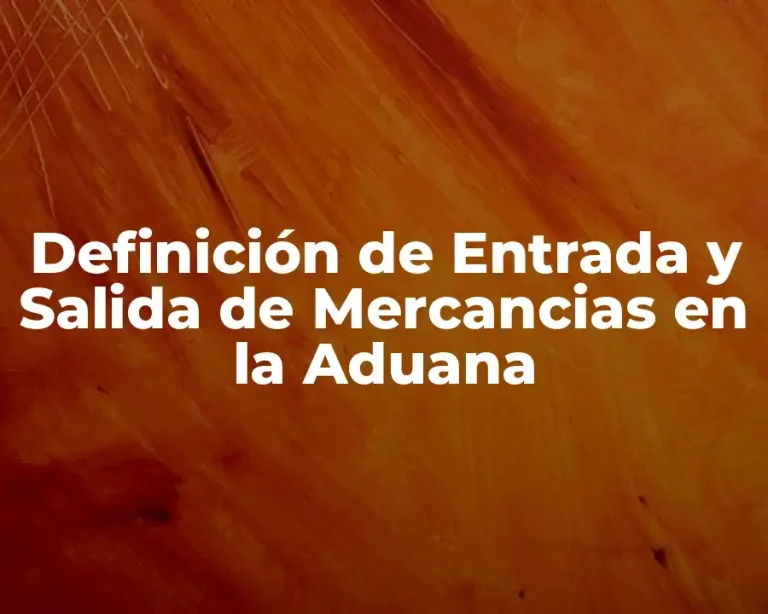 Definición de Entrada y Salida de Mercancias en la Aduana