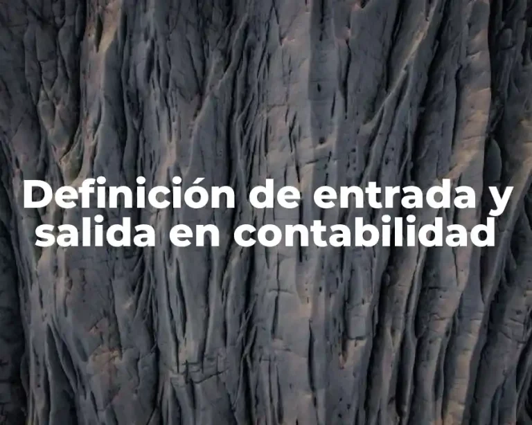 Definición de entrada y salida en contabilidad