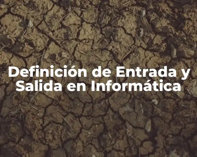 Definición de Entrada y Salida en Informática
