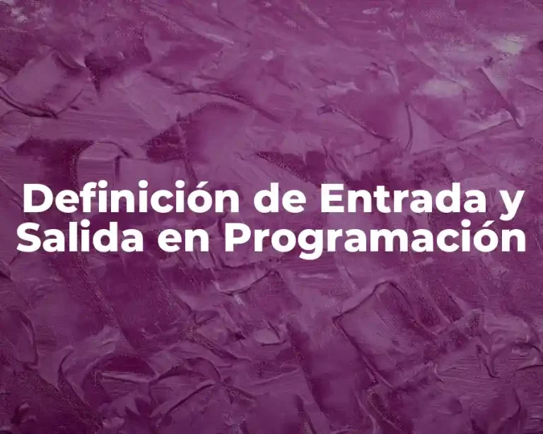 Definición de Entrada y Salida en Programación