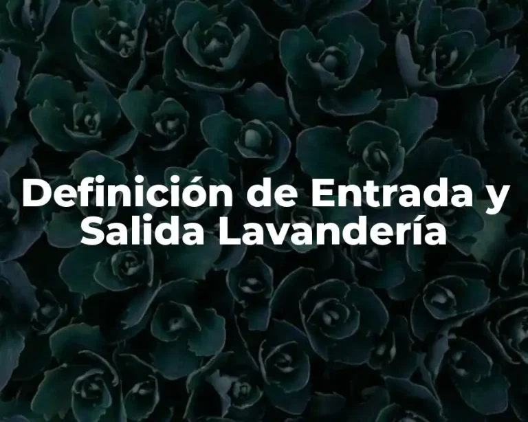 Definición de Entrada y Salida Lavandería