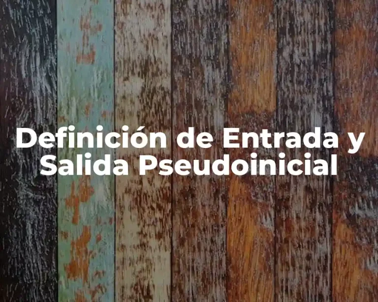 Definición de Entrada y Salida Pseudoinicial
