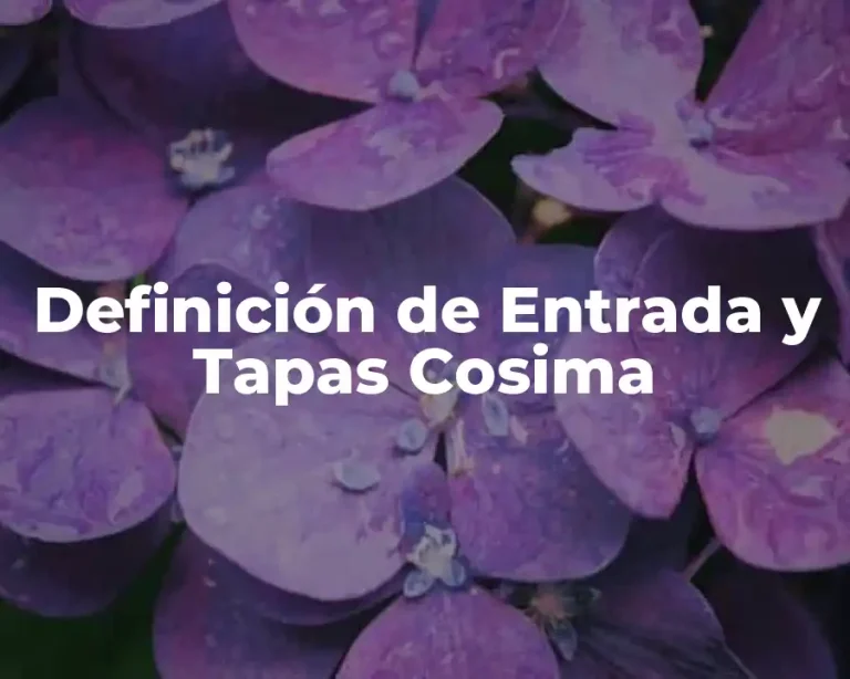 Definición de Entrada y Tapas Cosima