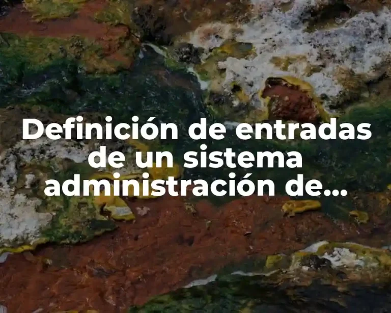 Definición de entradas de un sistema administración de empresas