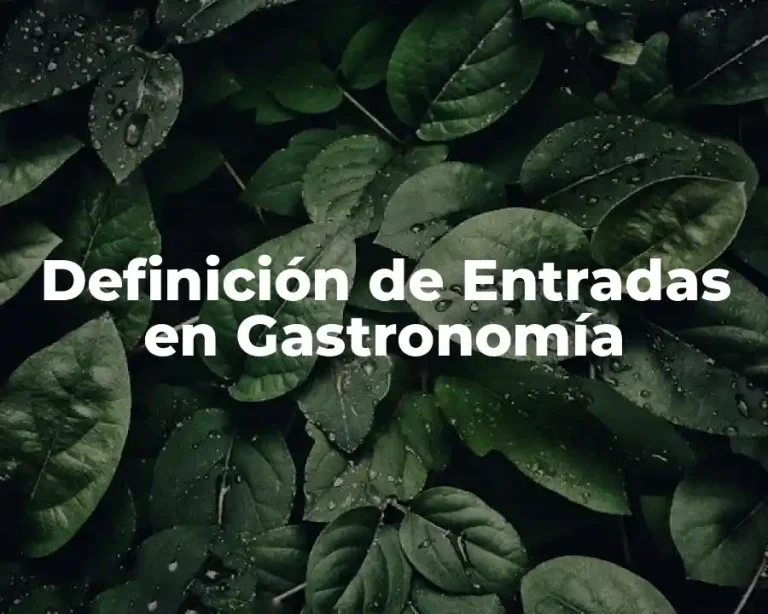 Definición de Entradas en Gastronomía