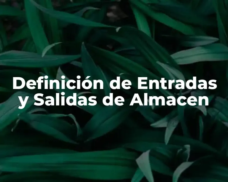 Definición de Entradas y Salidas de Almacen