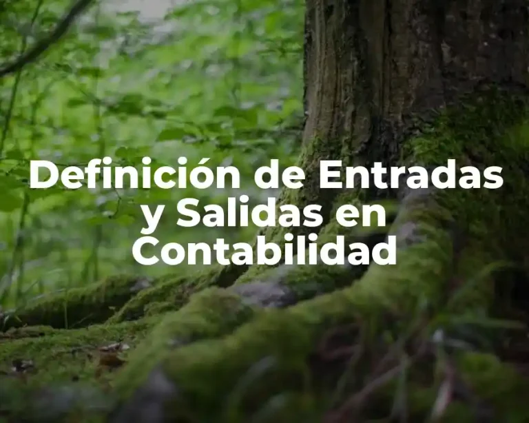 Definición de Entradas y Salidas en Contabilidad