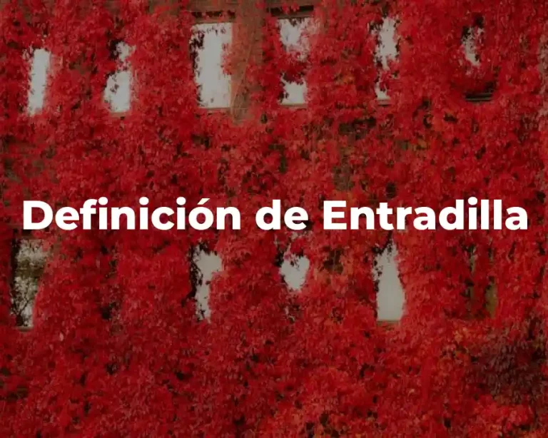 Definición de Entradilla