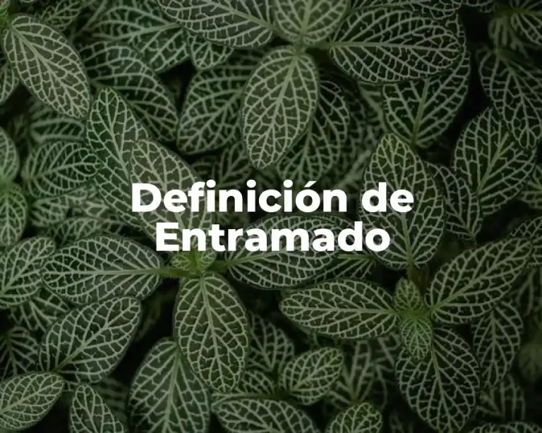 Definición de Entramado