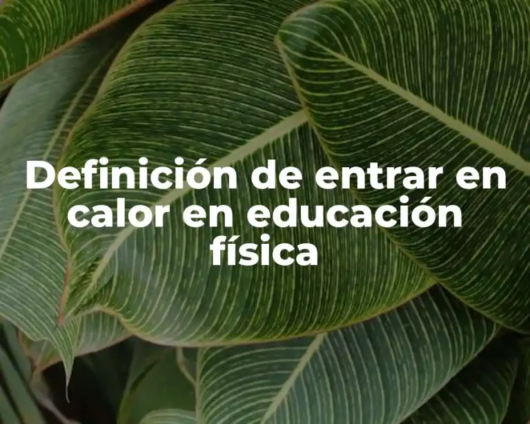 Definición de entrar en calor en educación física