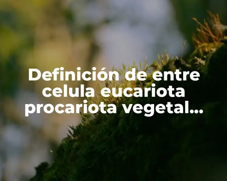 Definición de entre celula eucariota procariota vegetal animal