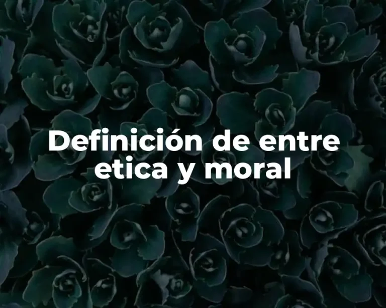Definición de entre etica y moral