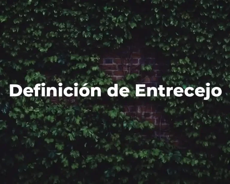 Definición de Entrecejo