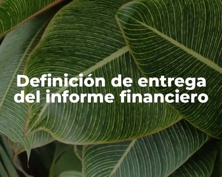 Definición de entrega del informe financiero