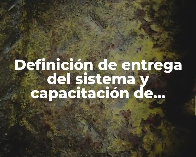 Definición de entrega del sistema y capacitación de usuarios