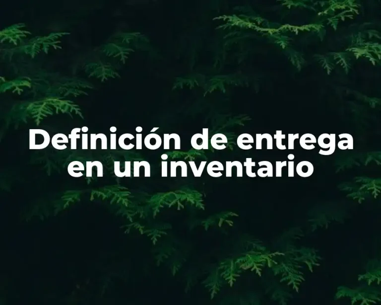 Definición de entrega en un inventario