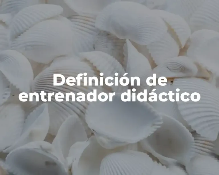Definición de entrenador didáctico