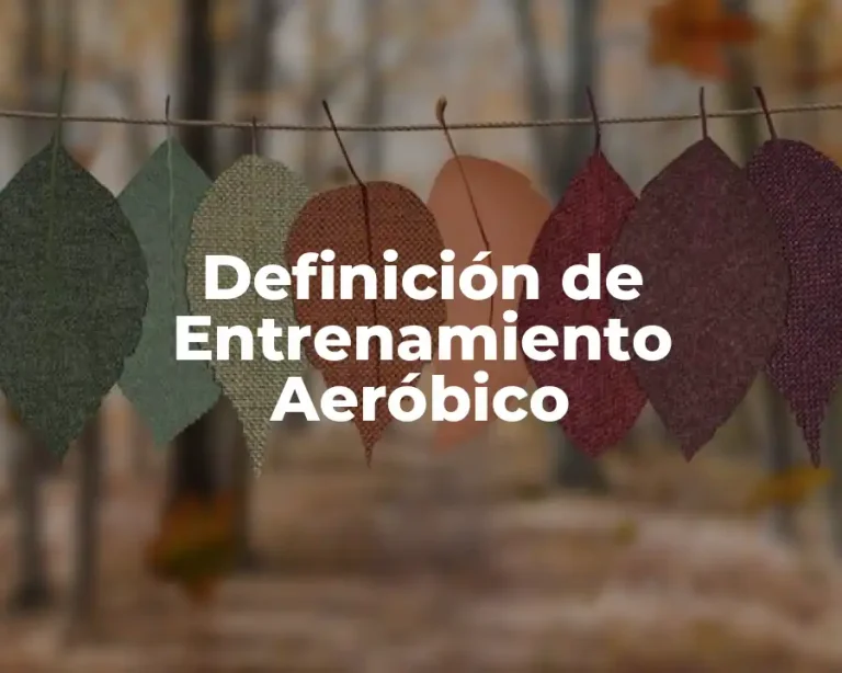 Definición de Entrenamiento Aeróbico