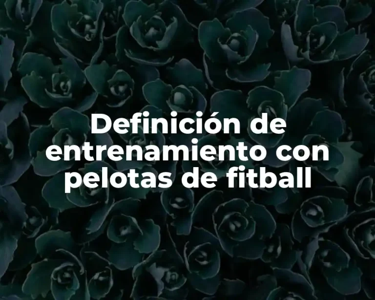 Definición de entrenamiento con pelotas de fitball