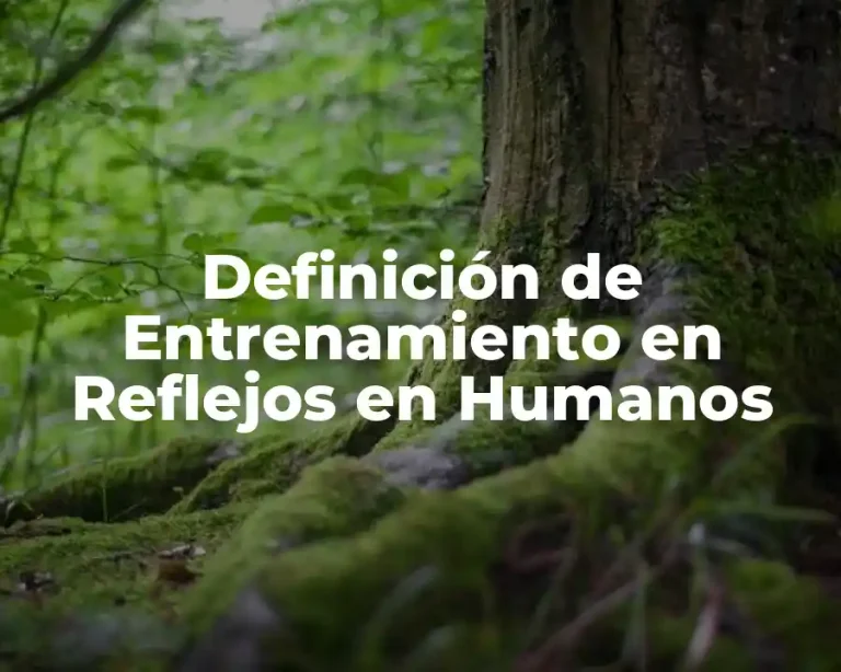 Definición de Entrenamiento en Reflejos en Humanos