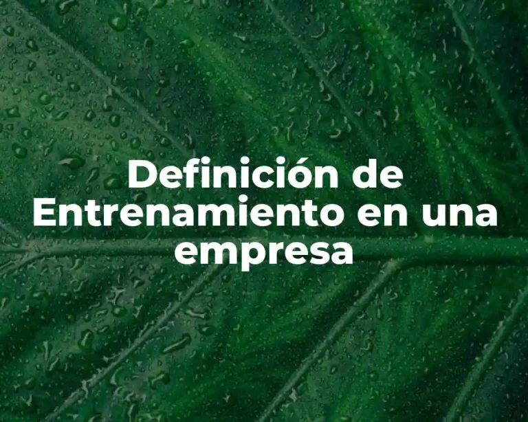 Definición de Entrenamiento en una empresa