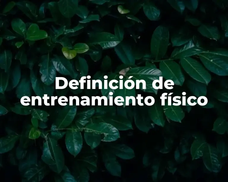 Definición de entrenamiento físico