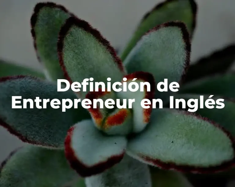 Definición de Entrepreneur en Inglés
