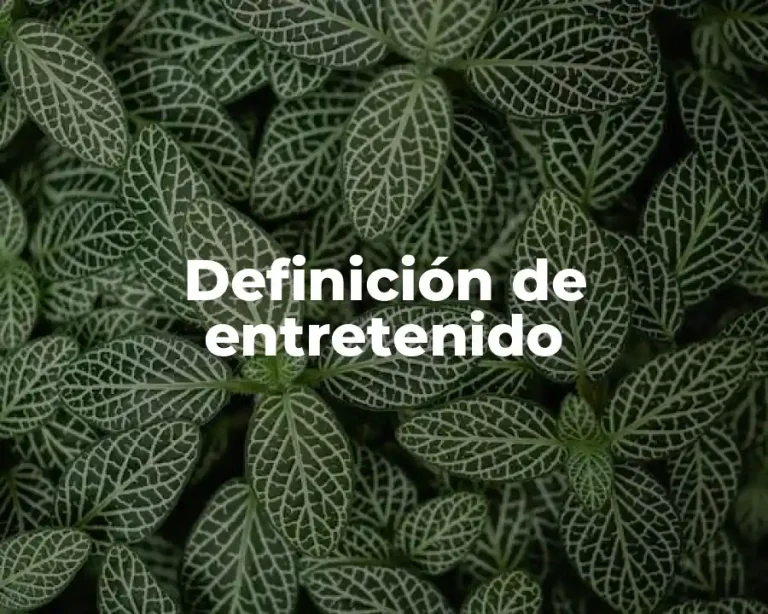 Definición de entretenido