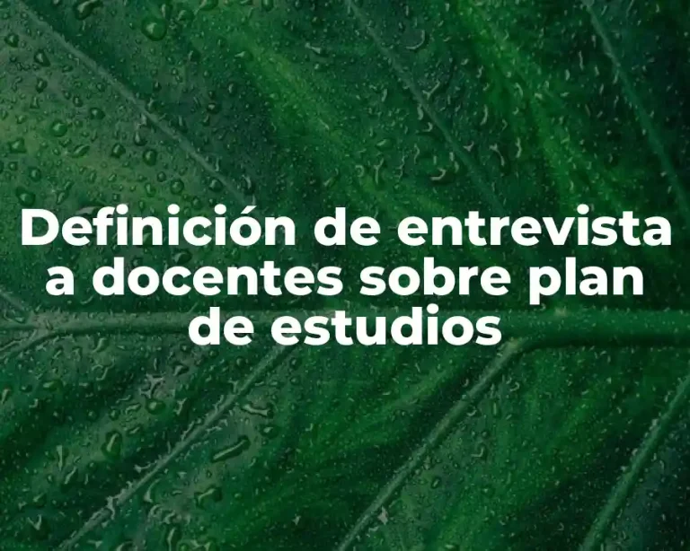 Definición de entrevista a docentes sobre plan de estudios