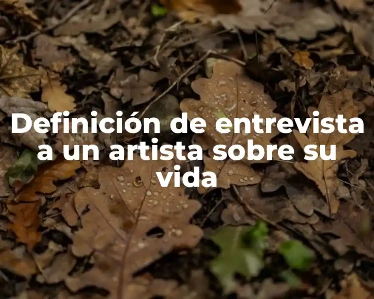 Definición de entrevista a un artista sobre su vida