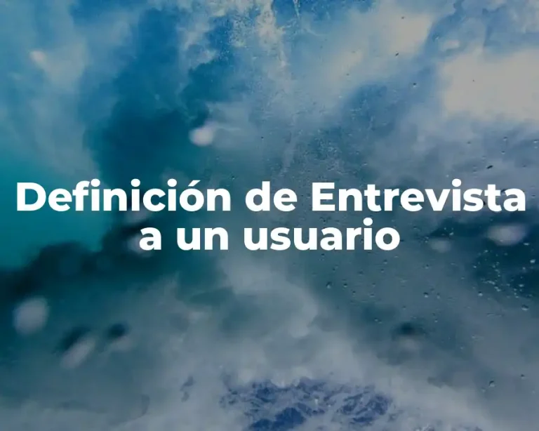 Definición de Entrevista a un usuario
