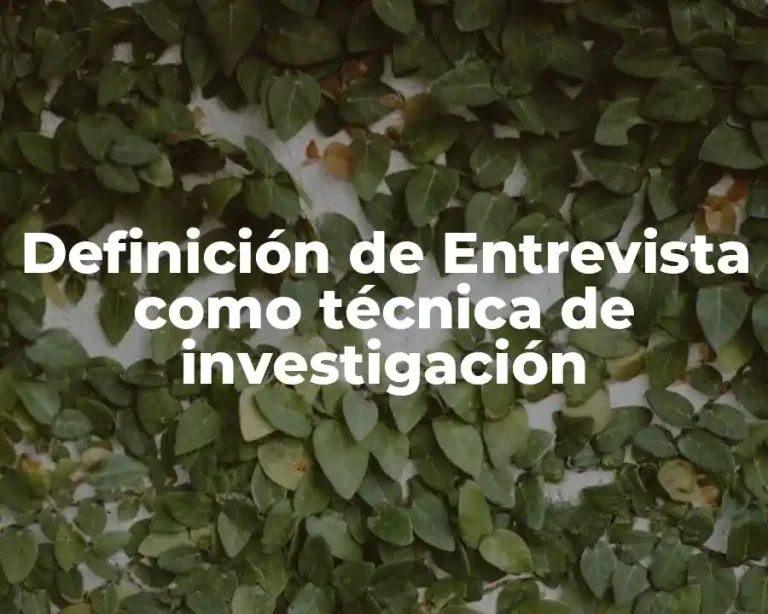 Definición de Entrevista como técnica de investigación
