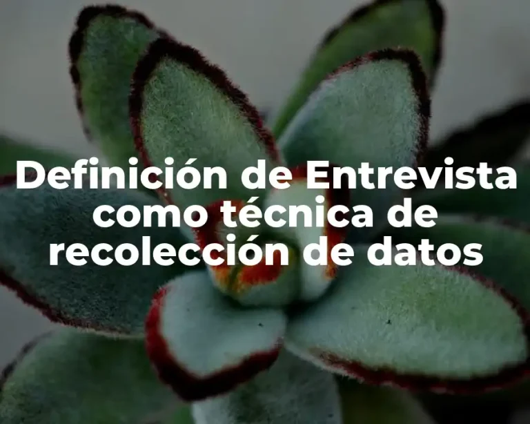 Definición de Entrevista como técnica de recolección de datos