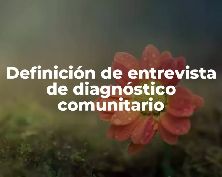 Definición de entrevista de diagnóstico comunitario