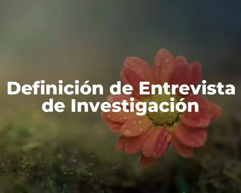 Definición de Entrevista de Investigación
