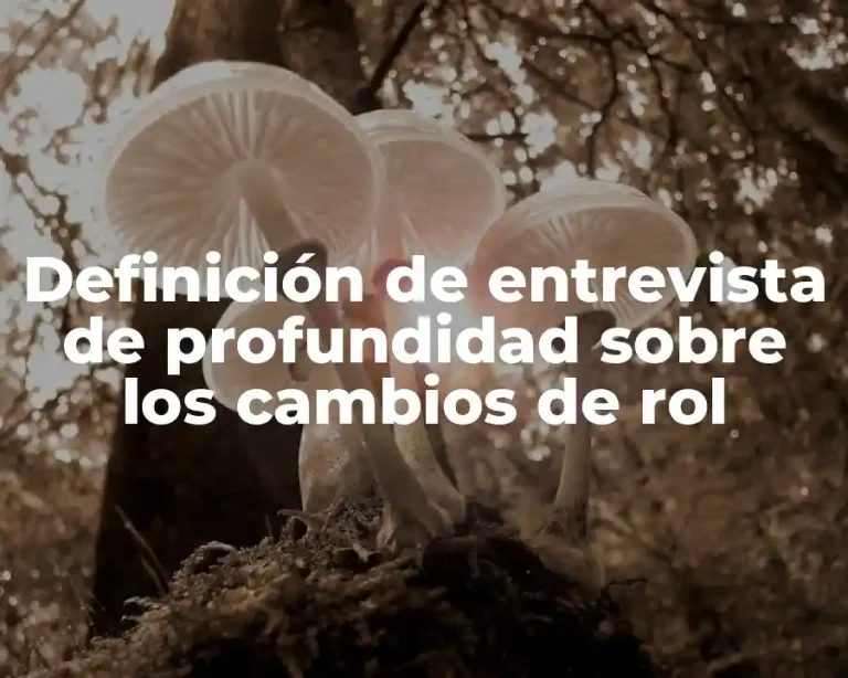 Definición de entrevista de profundidad sobre los cambios de rol