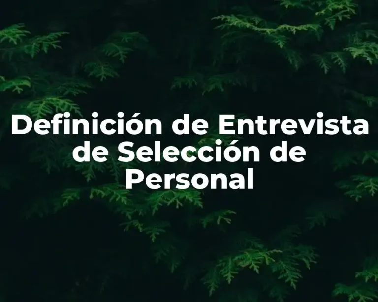 Definición de Entrevista de Selección de Personal
